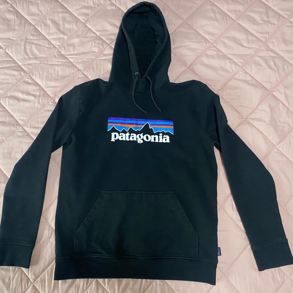 Patagonia Reprisal Hoodie